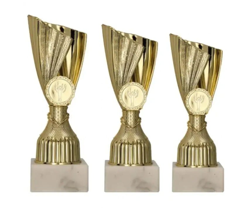 Juego de trofeos 1010190/P